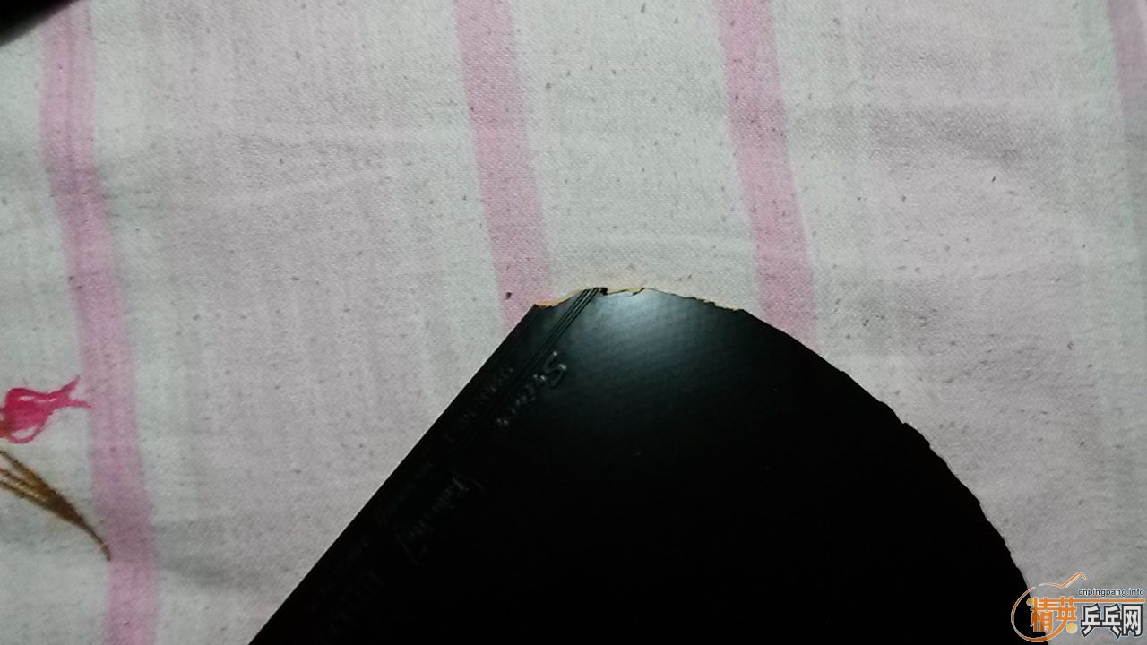 ��˹���֡����ᡢ��������V�Ƚ�Ƥ����ɫ�ã���Ϊ׬Ǯ�����ÿ�쭽���