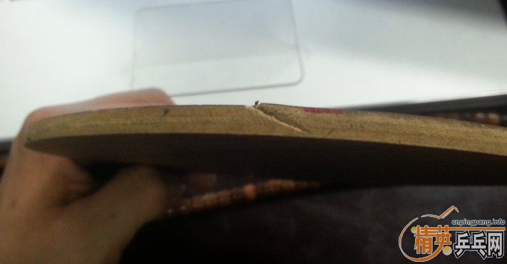 ��һ�����µ����ƺ����2