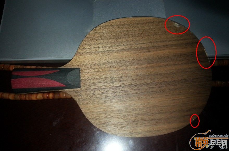 ��һ�����µ����ƺ����2