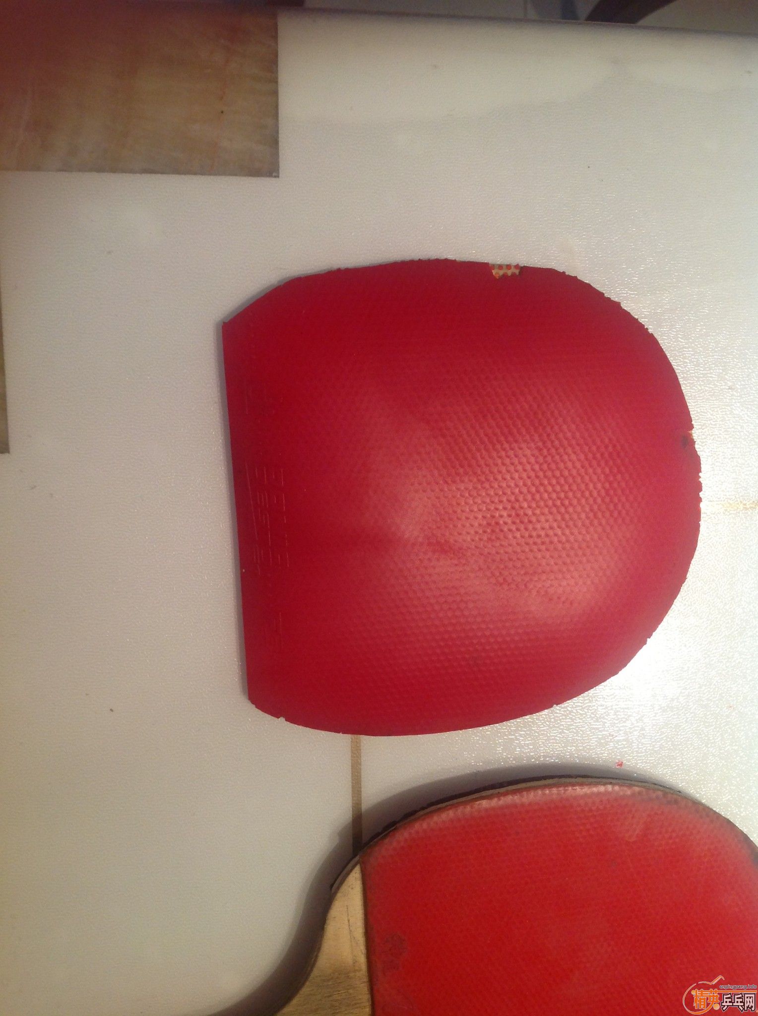 ����������غ�̴�塢�����ꡢ��Ʒ�ġ�����F1�׽�