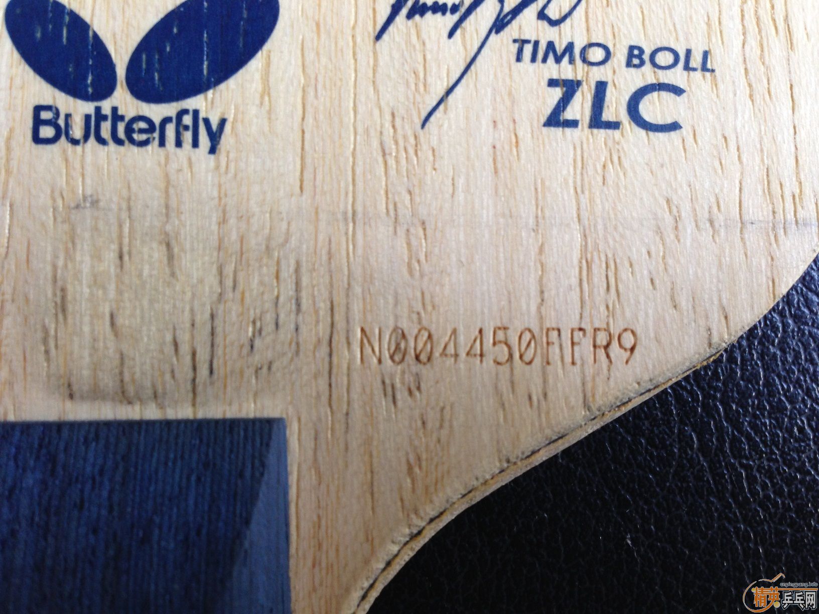 Timo Boll zlc һ