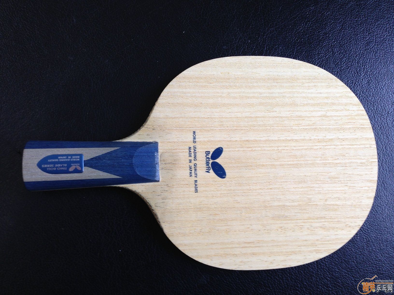 Timo Boll zlc һ
