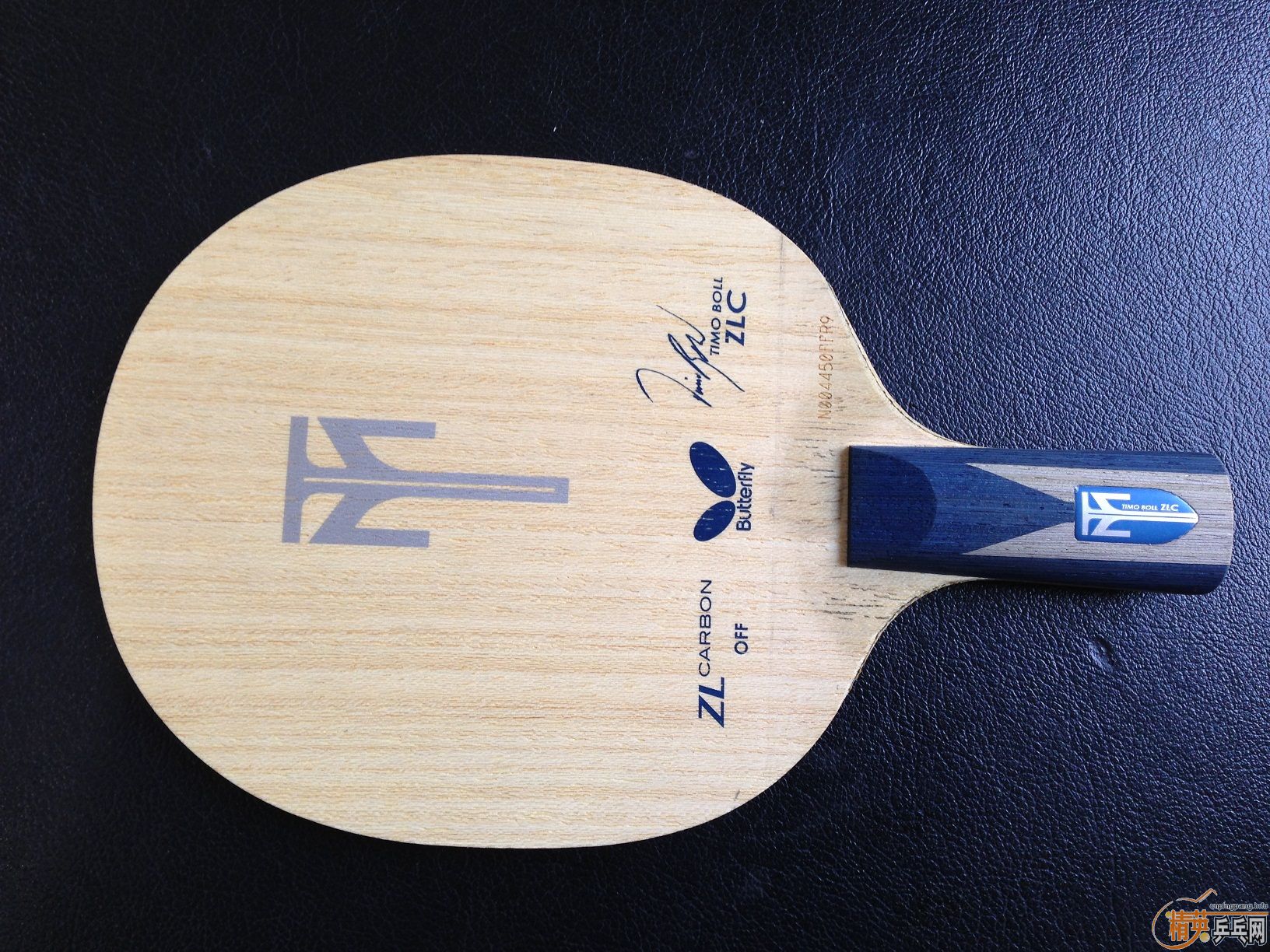 Timo Boll zlc һ
