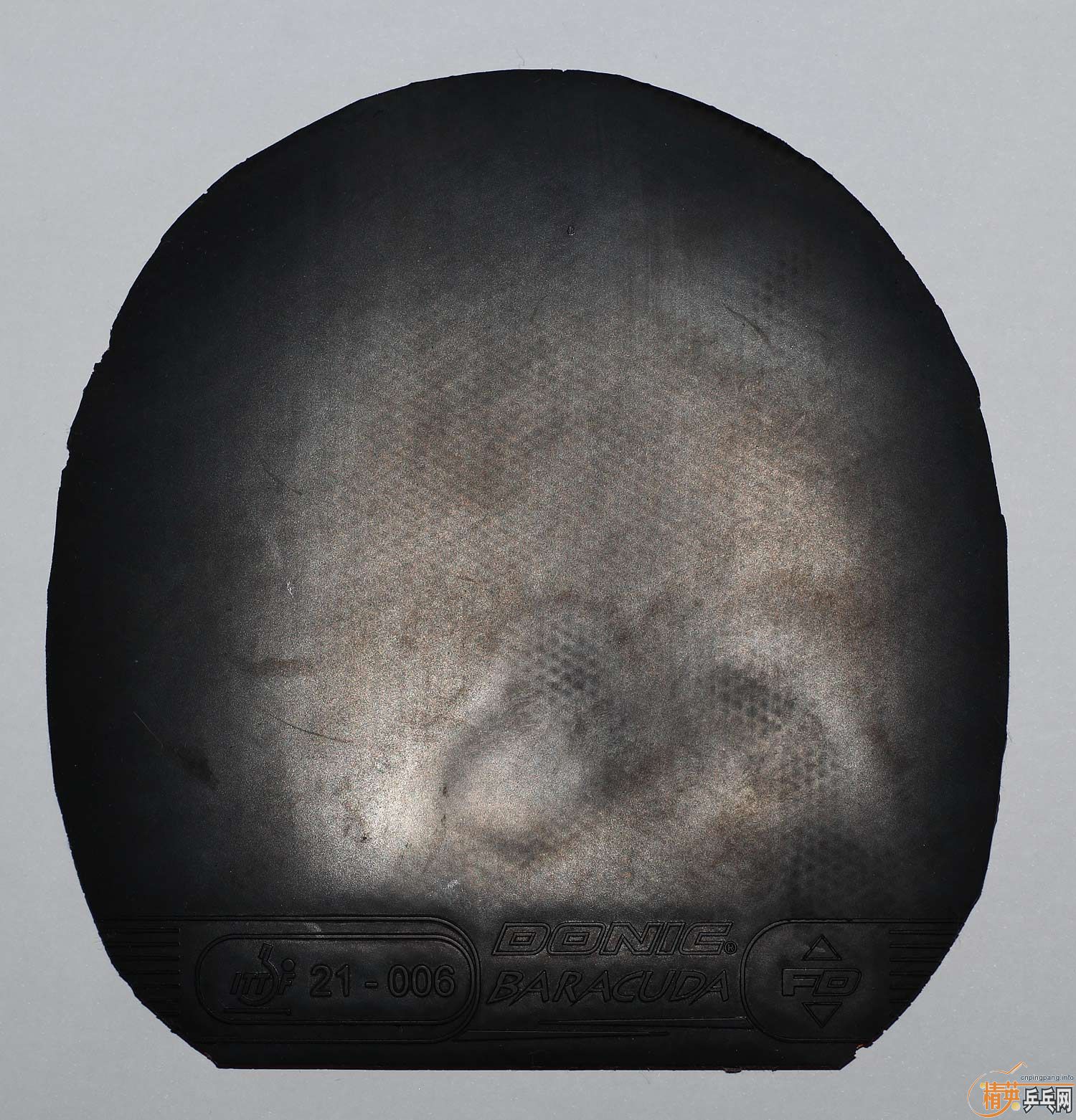 ���ֹ��ף�����