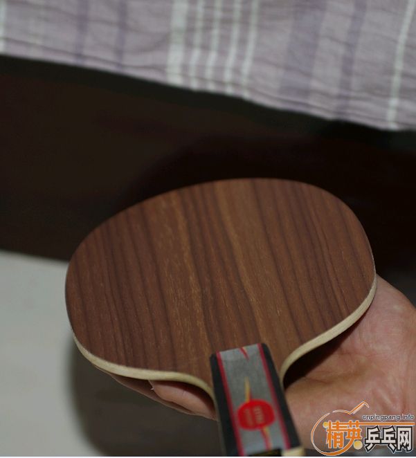 ���л���̴5��YEOרҵ�棬����ȡ�