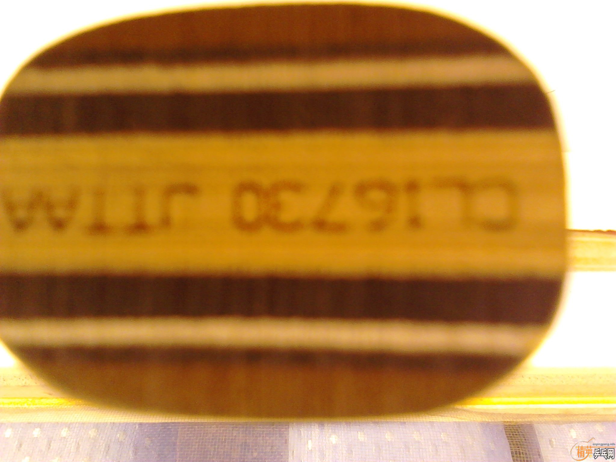 ���˳������ռ�ɷ