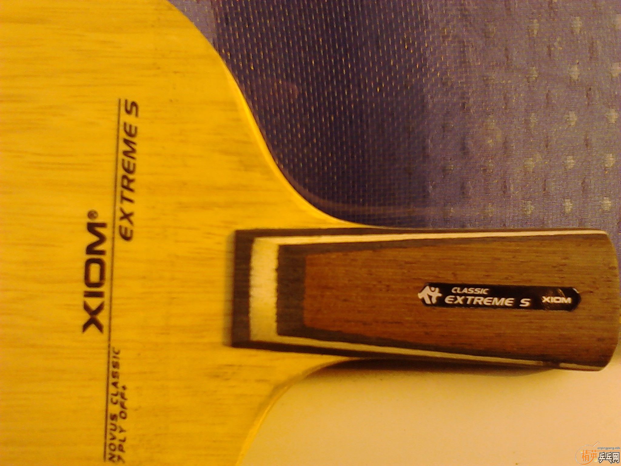 ���˳������ռ�ɷ