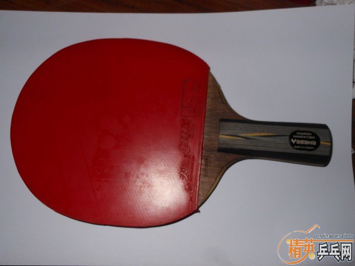 ���ָ�������YEO