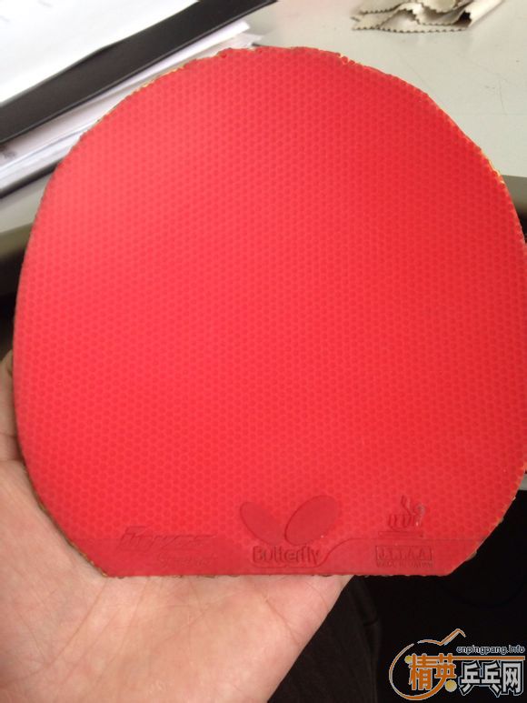 ����������տ� ����ٶ�