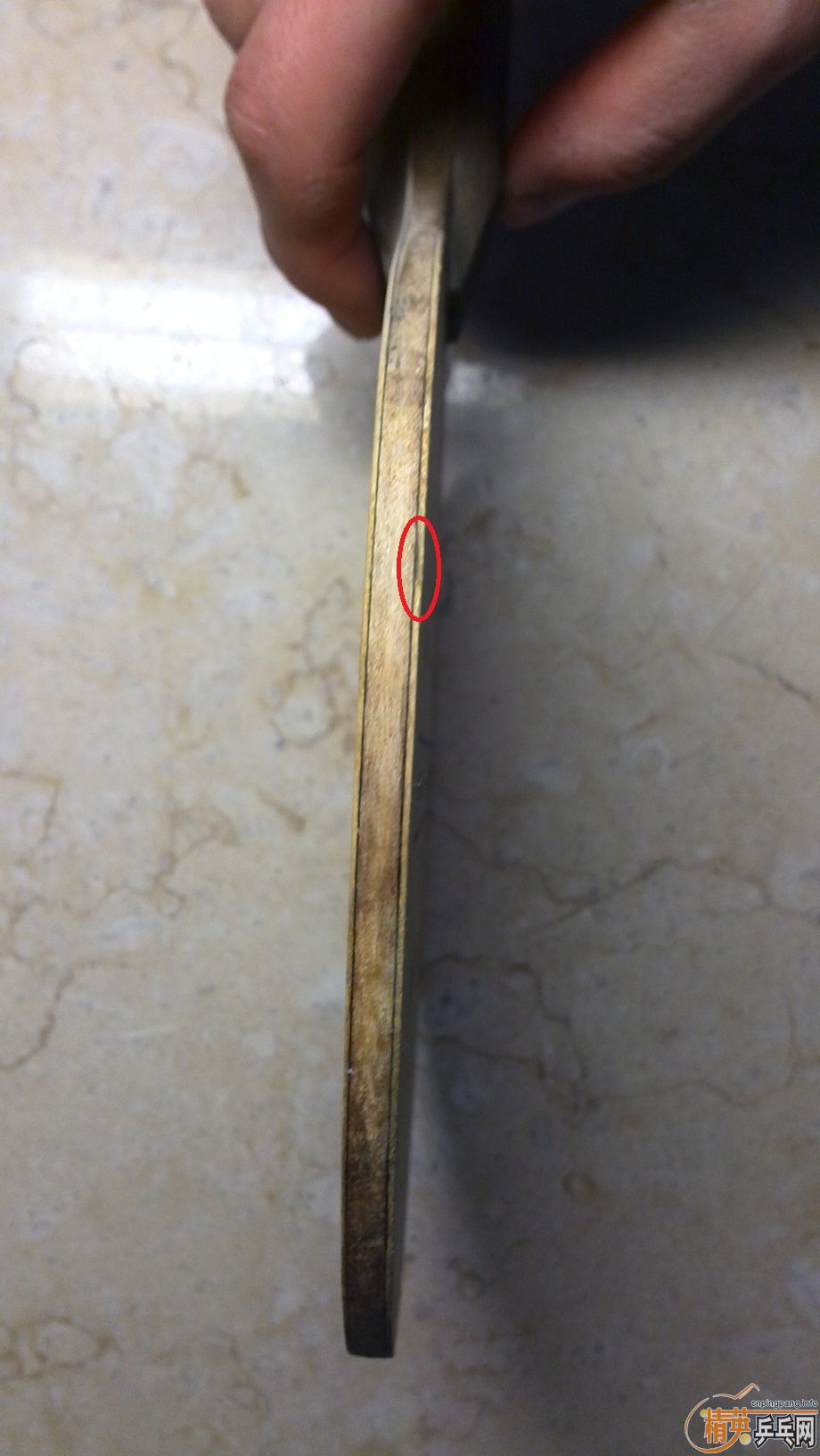 40Ԫ���ʳ�һֻpalio��ѧ������