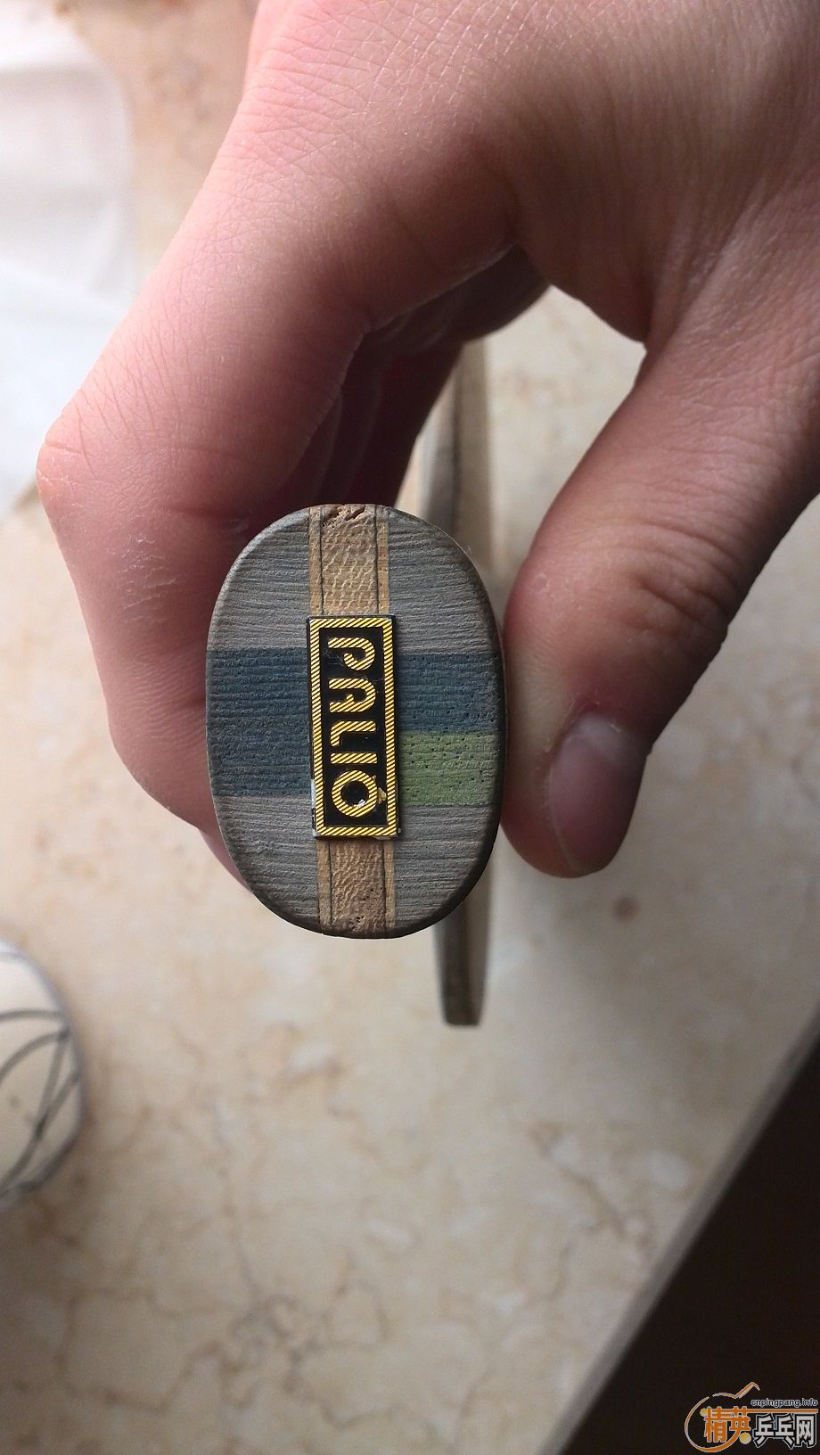 40Ԫ���ʳ�һֻpalio��ѧ������