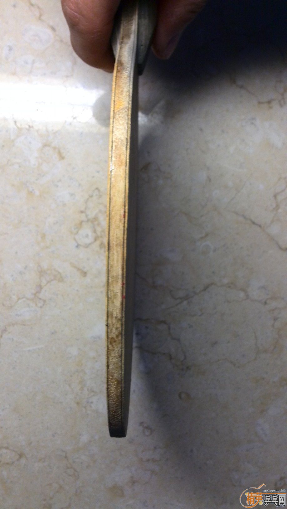 40Ԫ���ʳ�һֻpalio��ѧ������