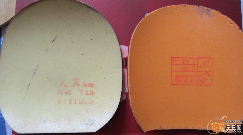 ���������,����ԥʲô?