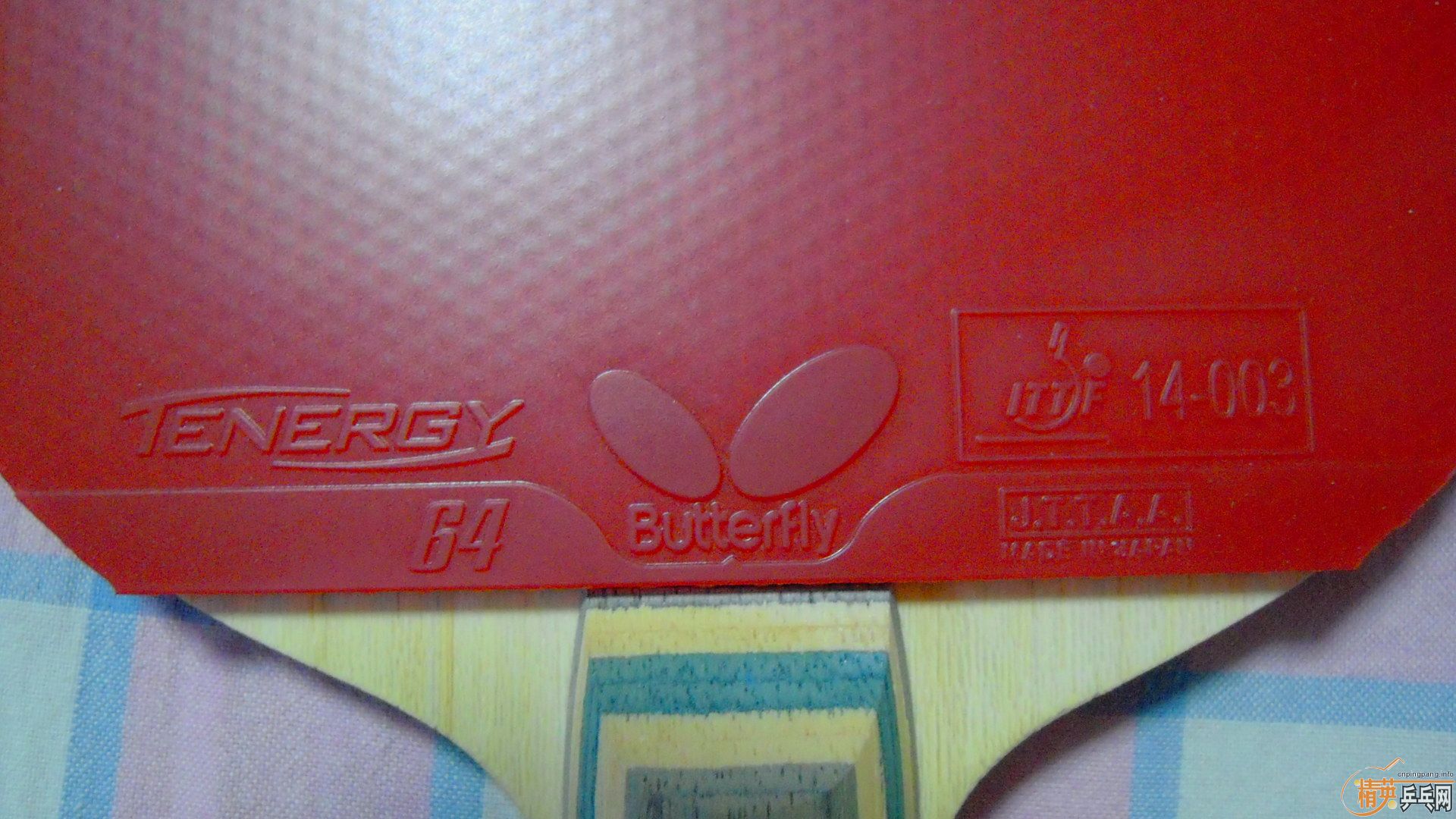 [ע��]���� ���к���VISCARIA��N��FL����87�ˣ�������0564���ã�һ��1500��˳�ᣬ�������飡