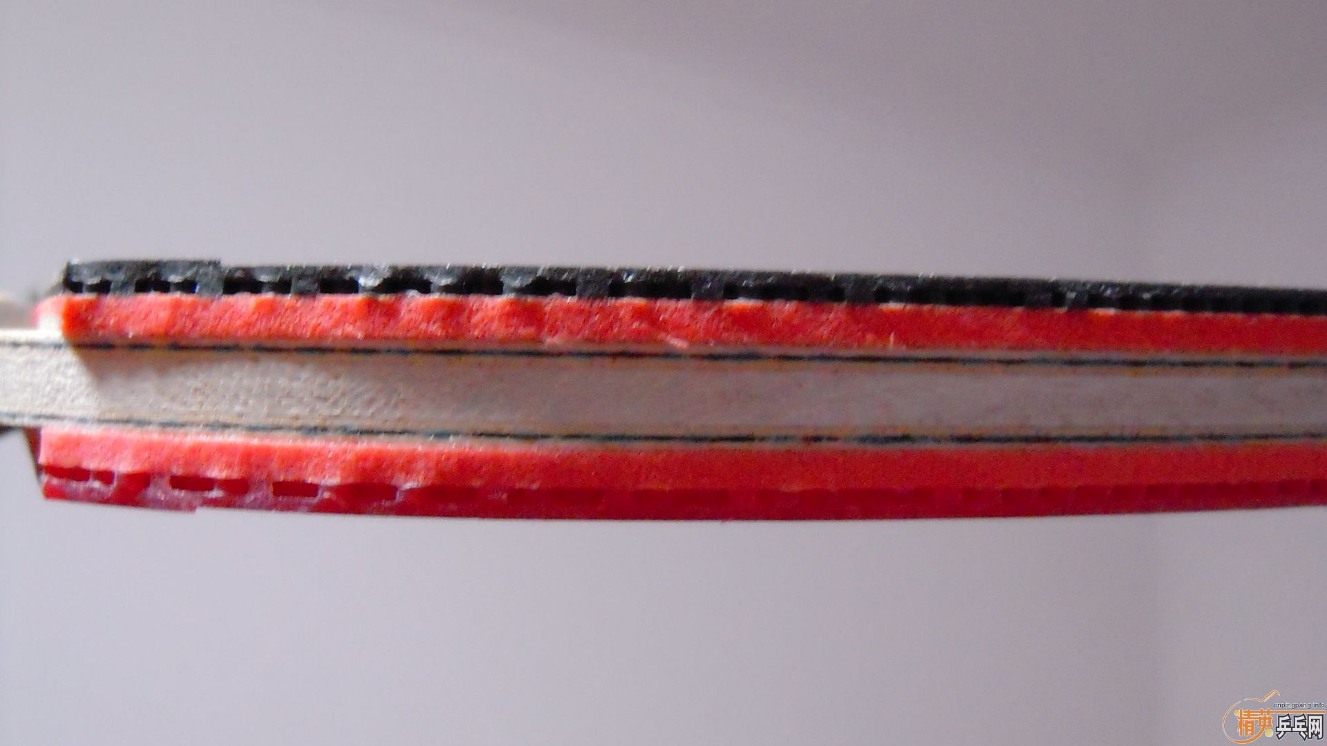 [ע��]���� ���к���VISCARIA��N��FL����87�ˣ�������0564���ã�һ��1500��˳�ᣬ�������飡