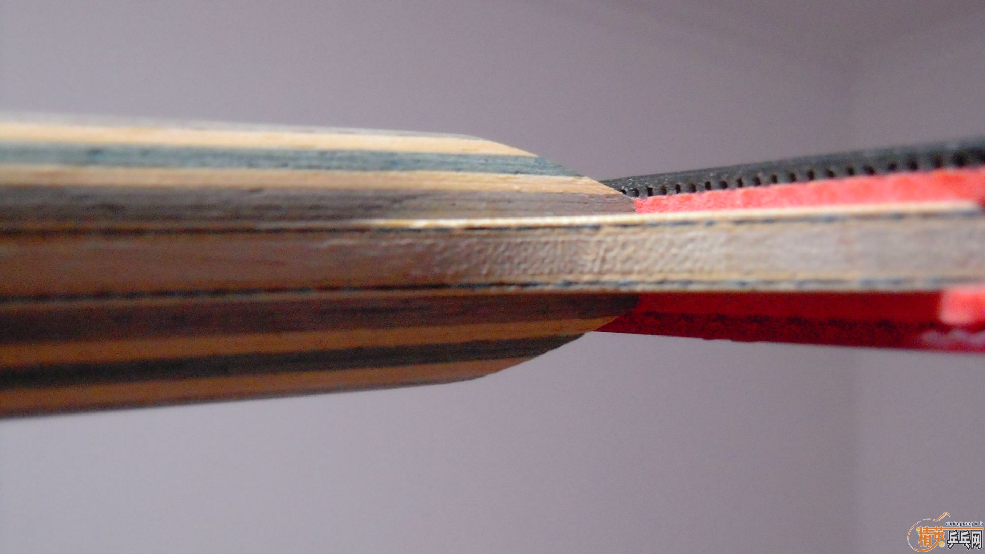 [ע��]���� ���к���VISCARIA��N��FL����87�ˣ�������0564���ã�һ��1500��˳�ᣬ�������飡