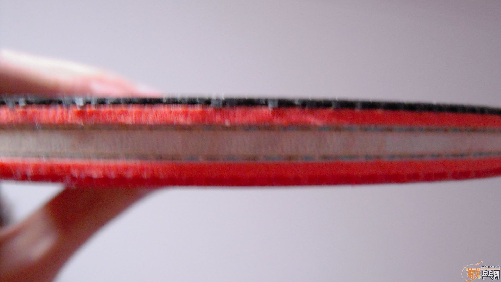 [ע��]���� ���к���VISCARIA��N��FL����87�ˣ�������0564���ã�һ��1500��˳�ᣬ�������飡