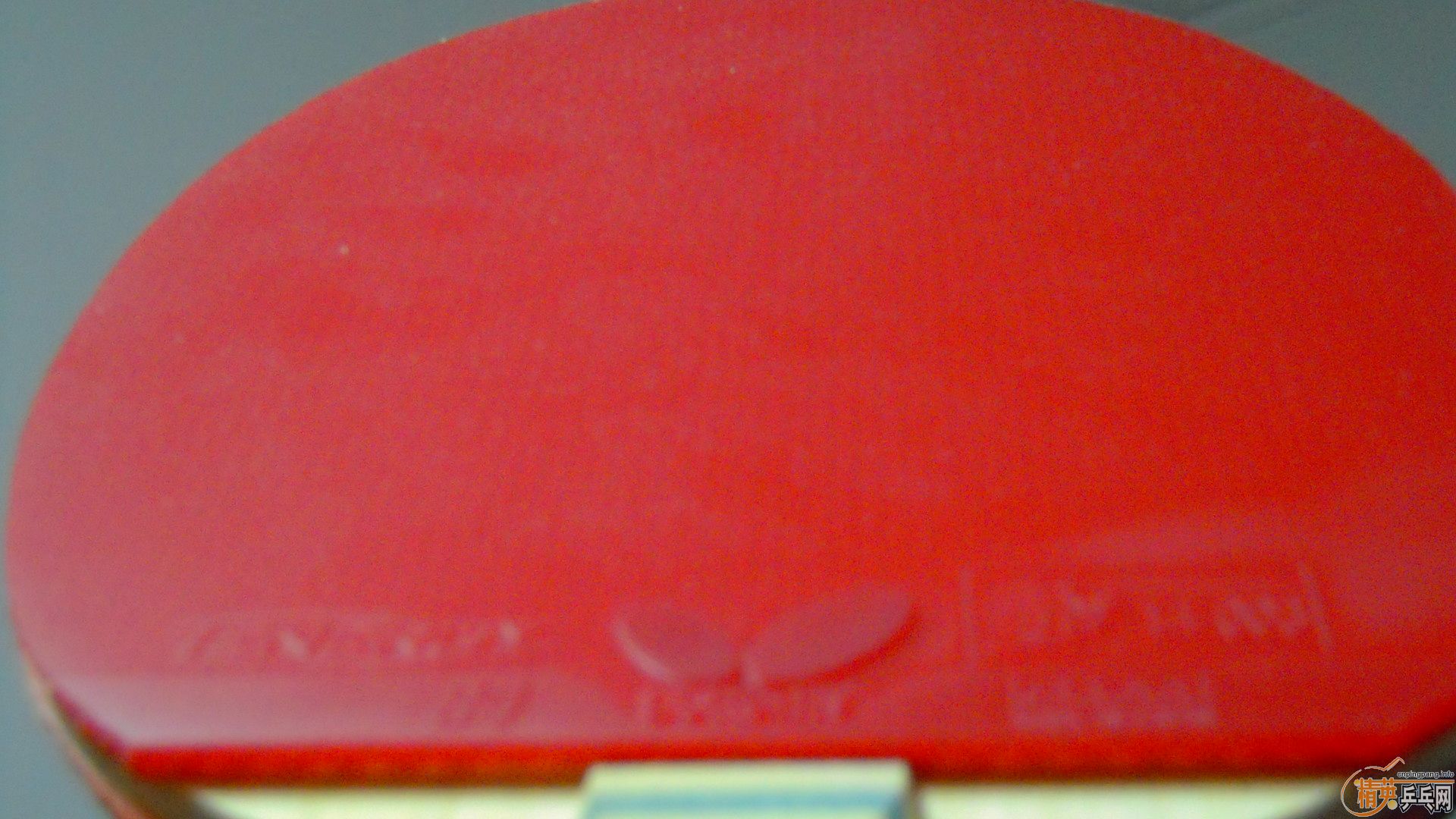 [ע��]���� ���к���VISCARIA��N��FL����87�ˣ�������0564���ã�һ��1500��˳�ᣬ�������飡