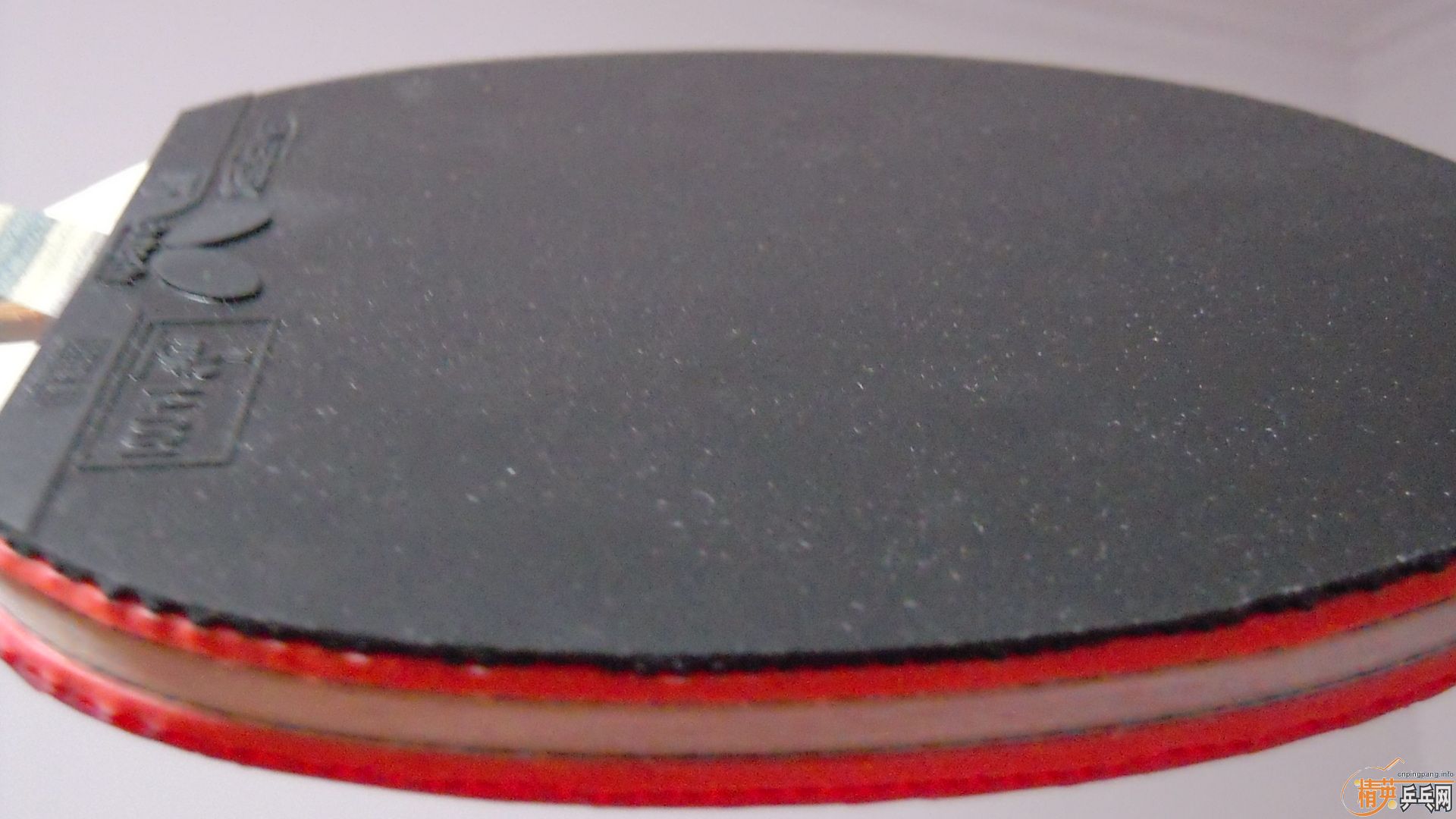 [ע��]���� ���к���VISCARIA��N��FL����87�ˣ�������0564���ã�һ��1500��˳�ᣬ�������飡