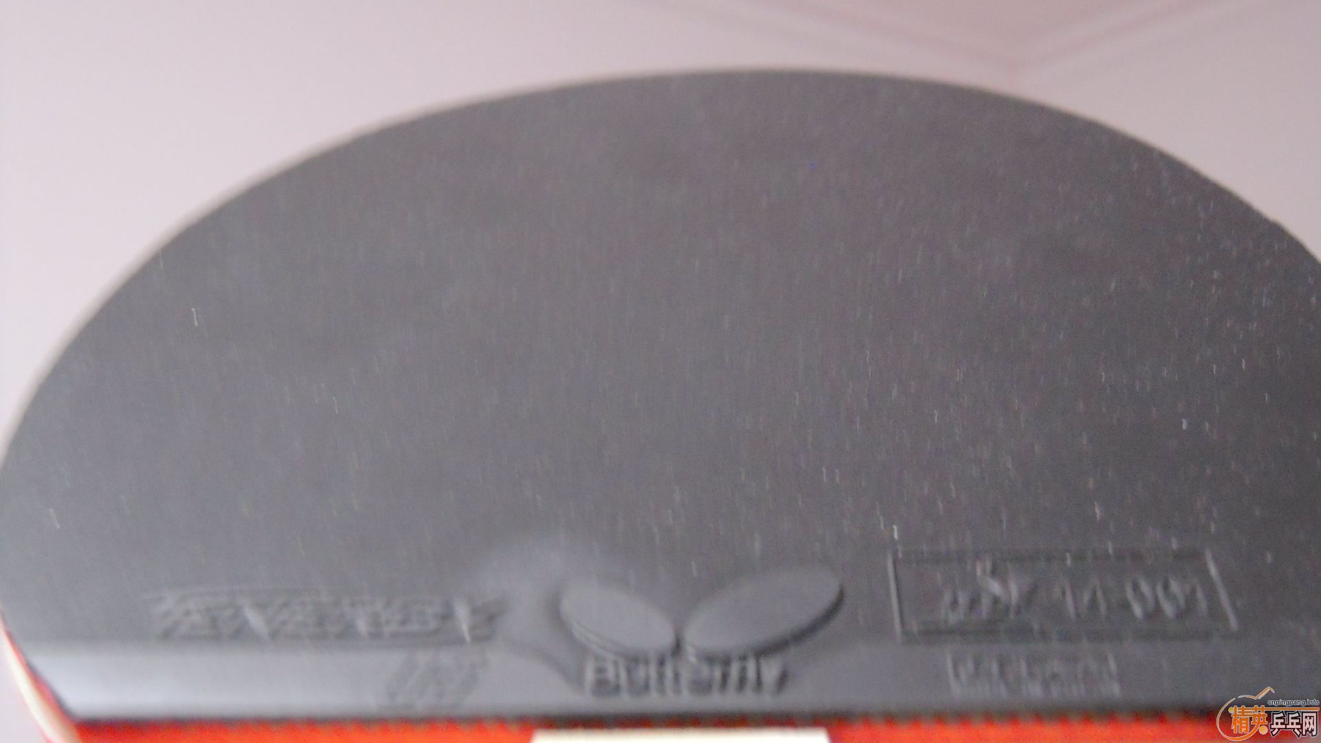 [ע��]���� ���к���VISCARIA��N��FL����87�ˣ�������0564���ã�һ��1500��˳�ᣬ�������飡