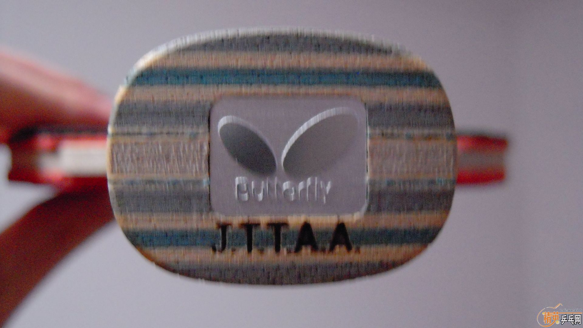 [ע��]���� ���к���VISCARIA��N��FL����87�ˣ�������0564���ã�һ��1500��˳�ᣬ�������飡