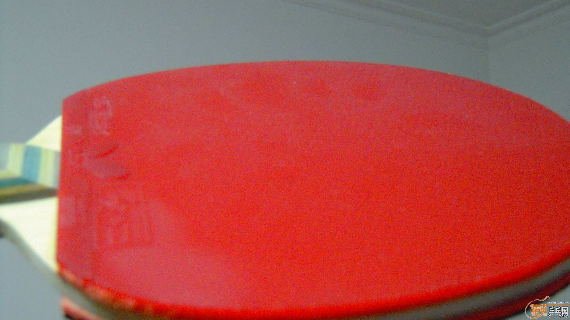 [ע��]���� ���к���VISCARIA��N��FL����87�ˣ�������0564���ã�һ��1500��˳�ᣬ�������飡