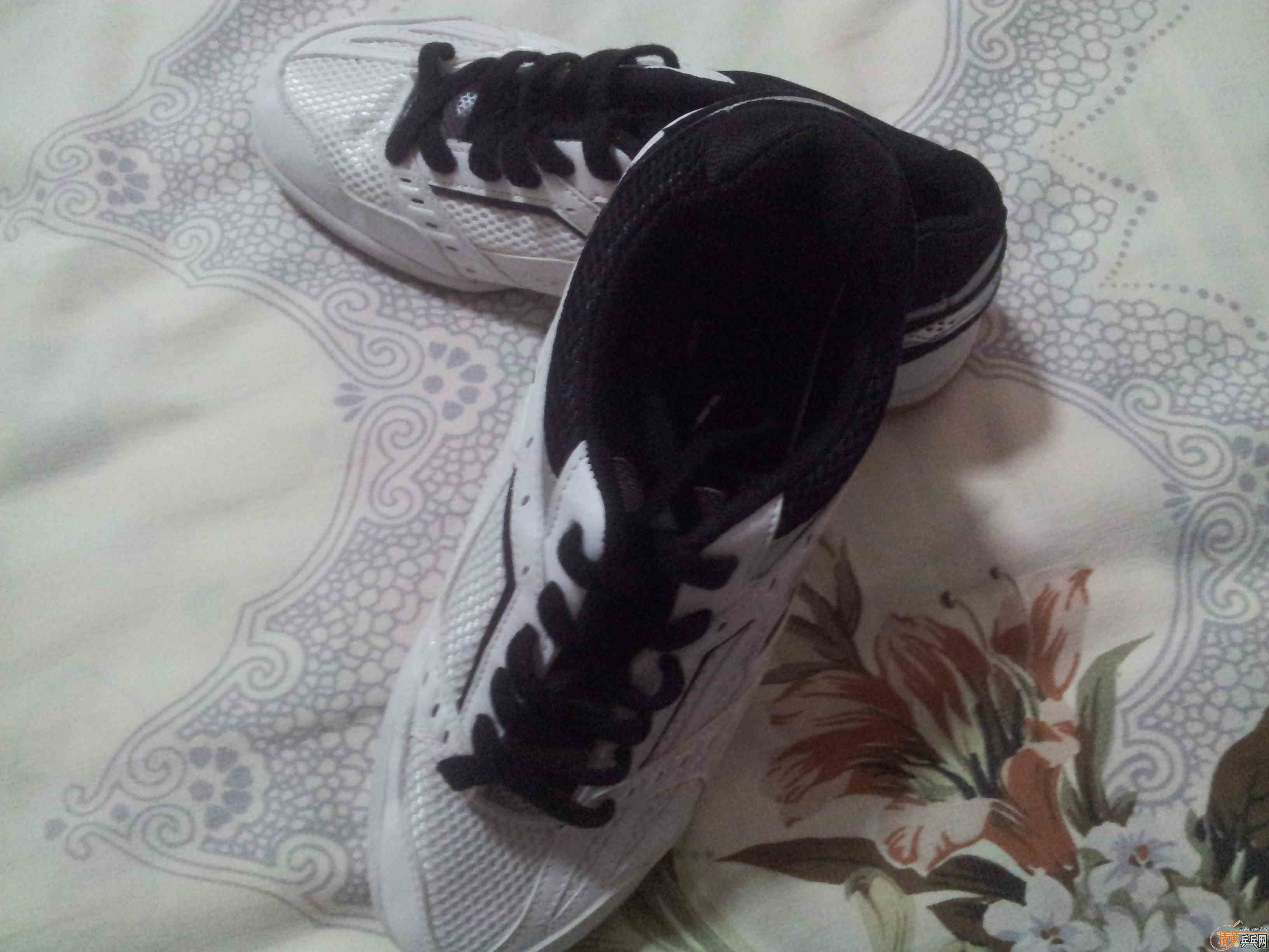 39��ȫ�°�ɫ����energyforce