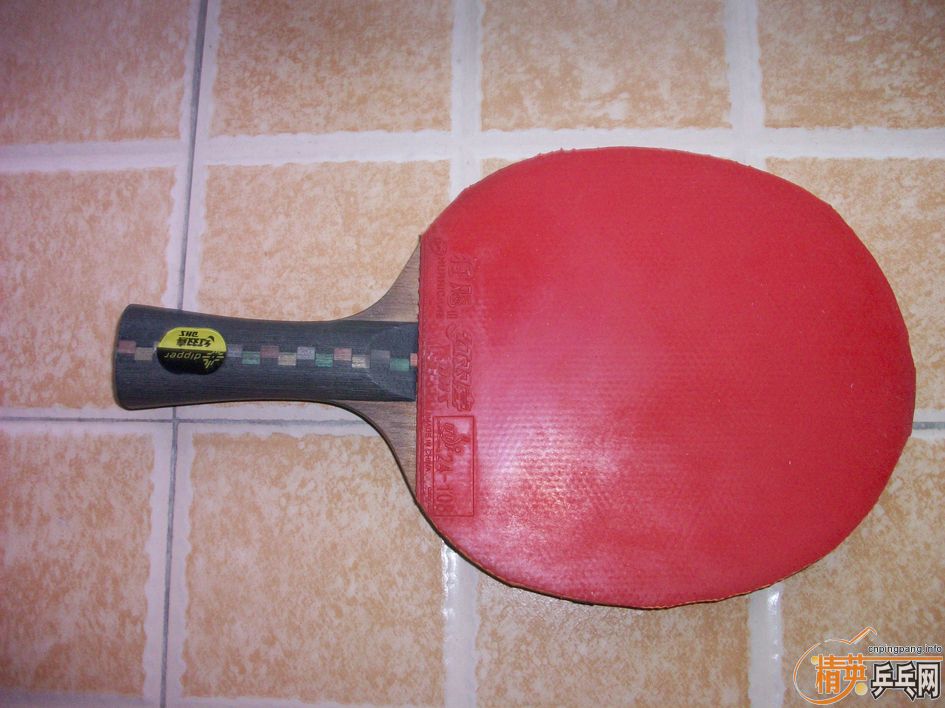  DHS  DI-02