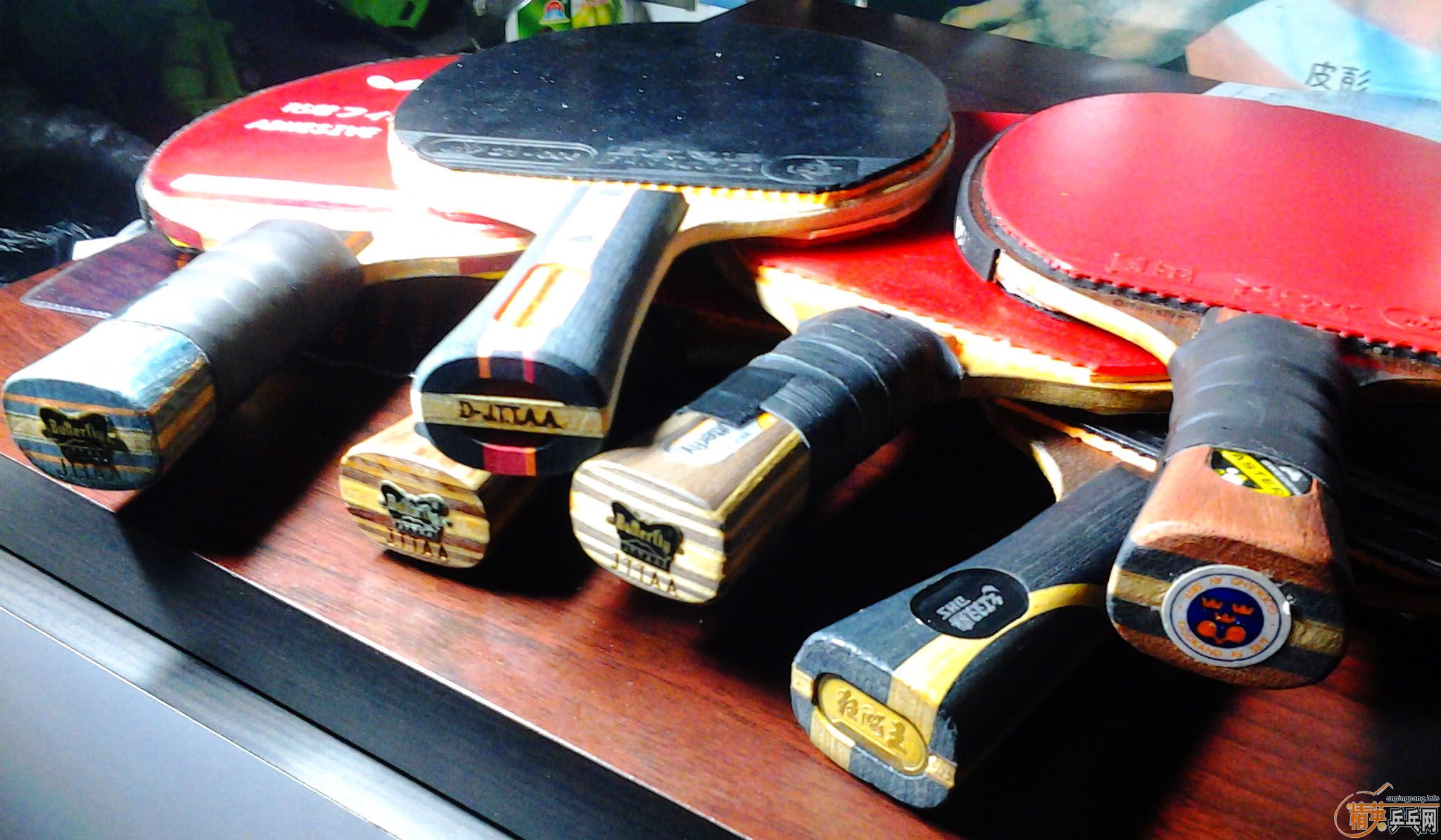 (�ѳ���(����ͷ�������̫����)���ղصĳ���-����ͣ���ϻ�JOOLA ROSSI FIRE(FL)