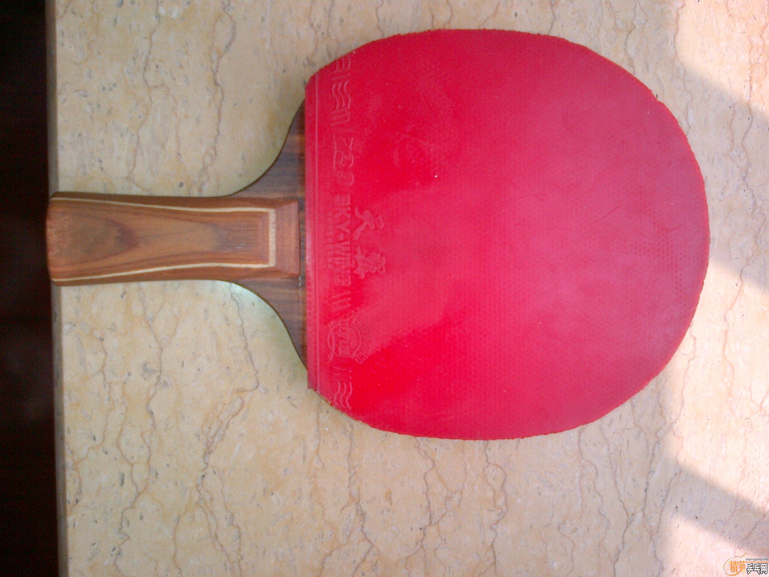 �л�õ��5��������һ�����ɻ���ǿ��ľ������С��