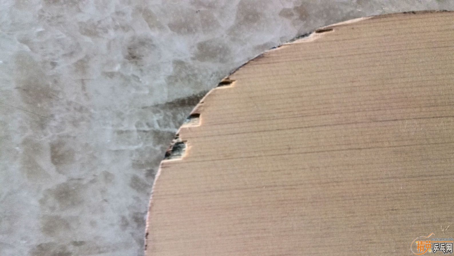 ������Ī����̼��