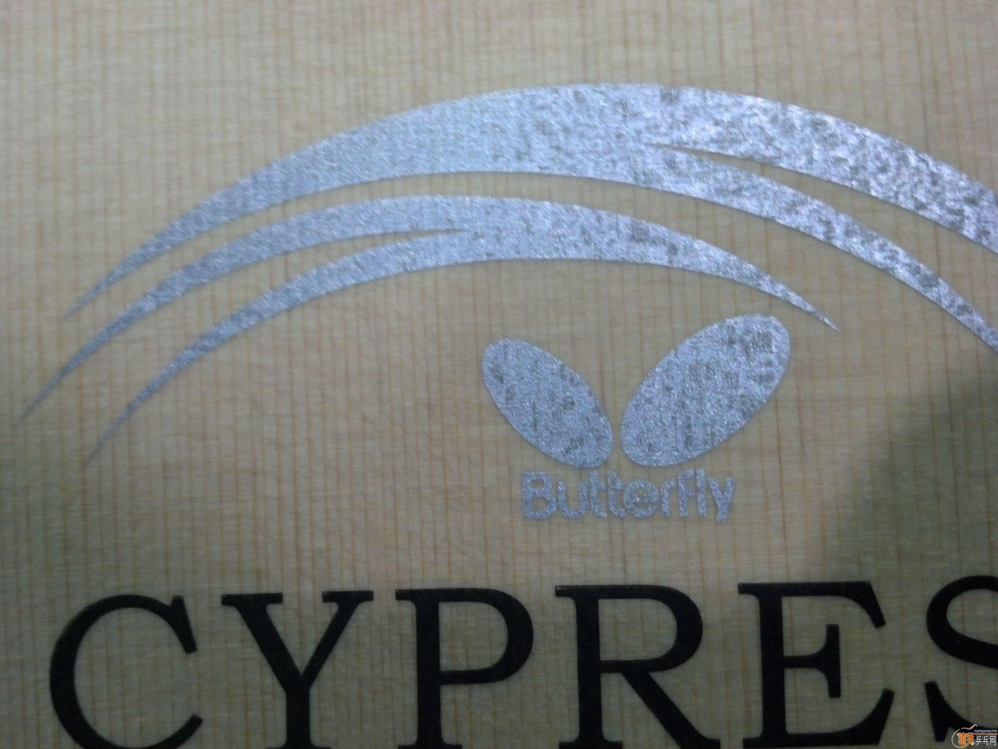 Ʒǳĺã95cypress max