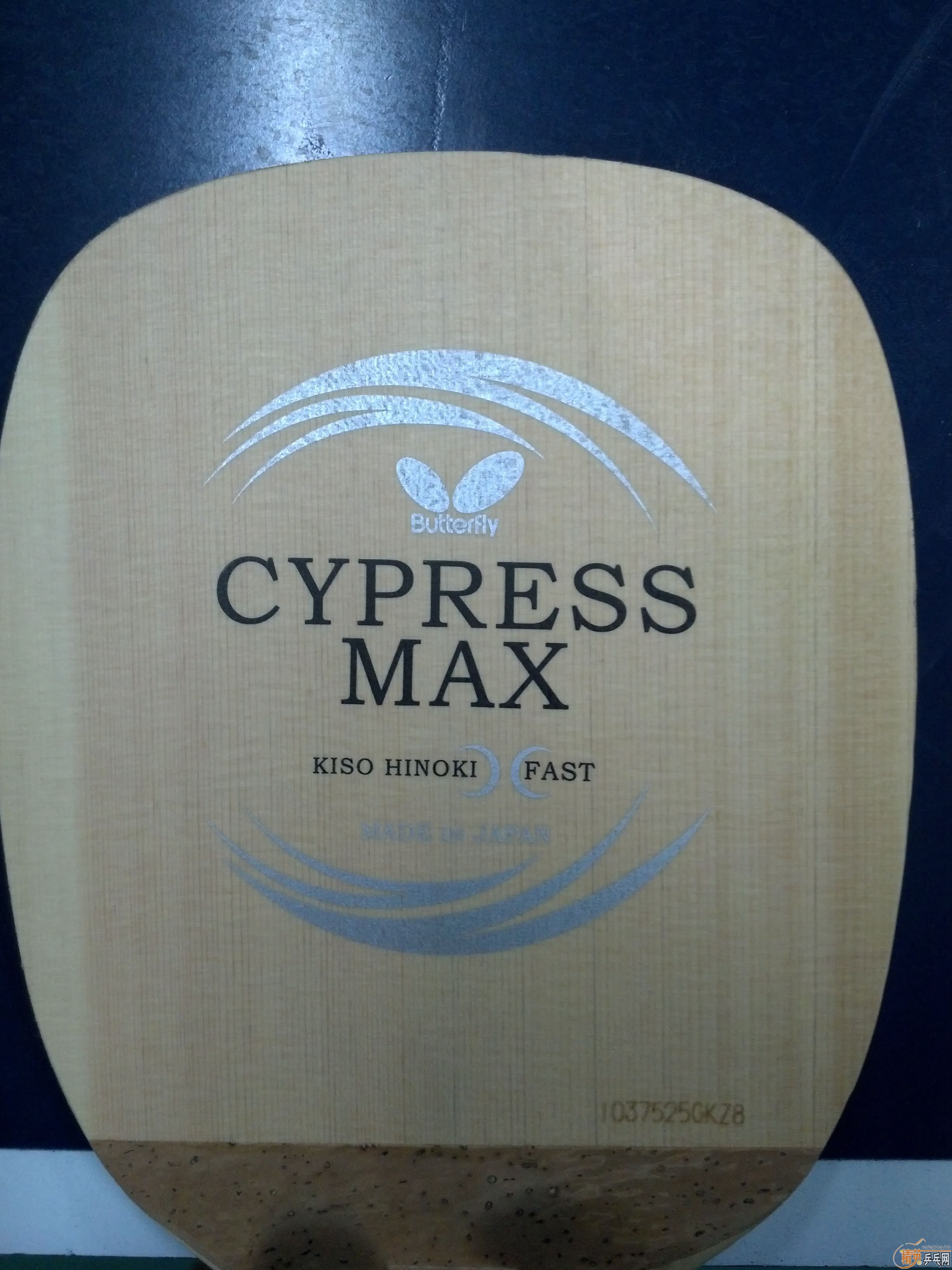 Ʒǳĺã95cypress max