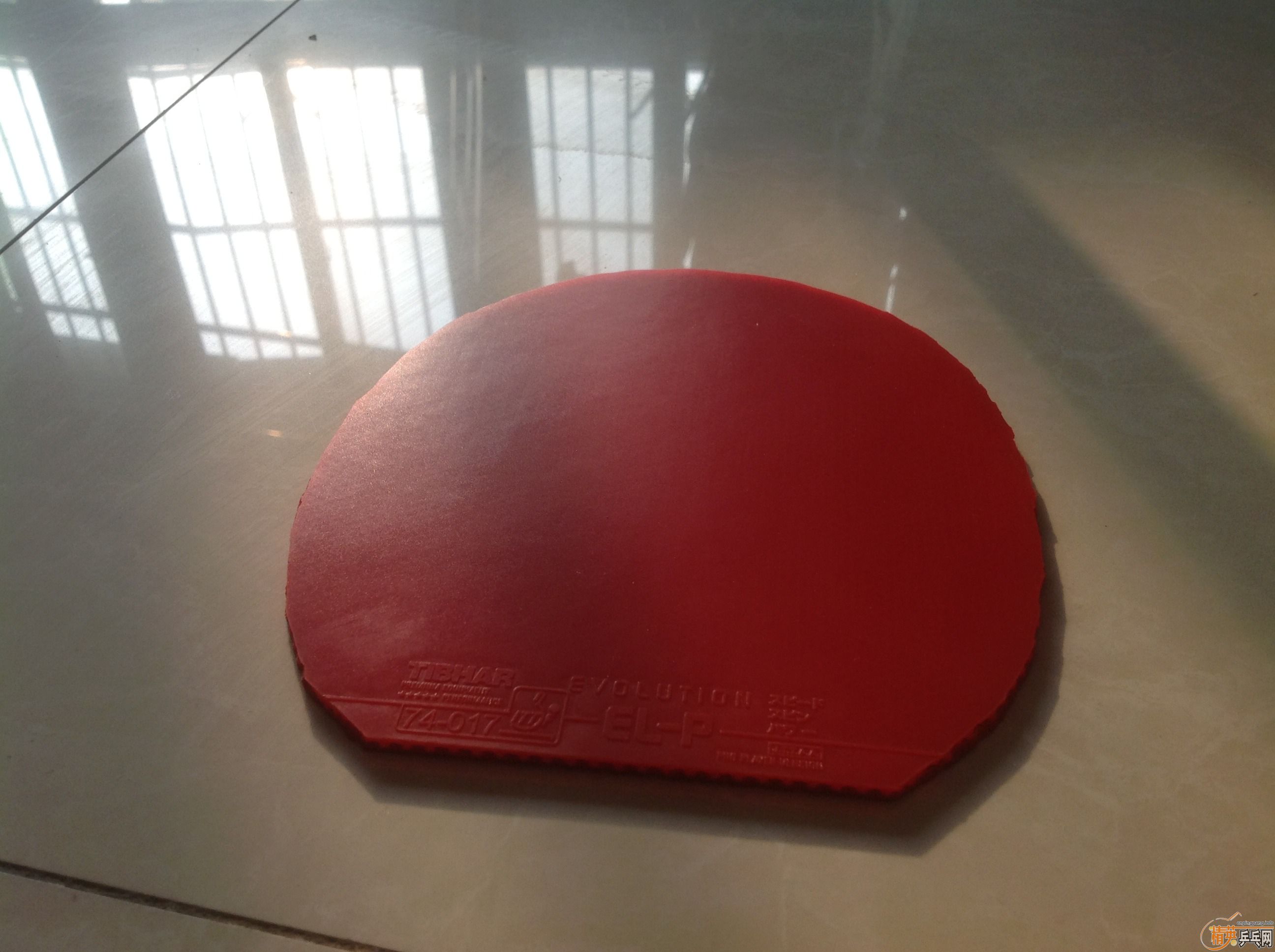 �������׽�