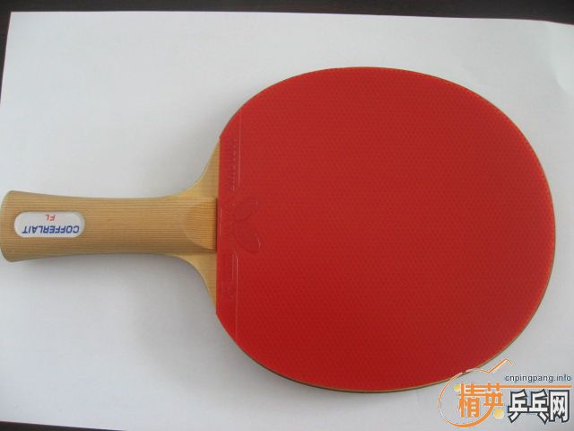 [ԭ��]����������׽���ɫ295Ԫ���ʡ���ɫ245Ԫ���ʣ����485���ʡ�