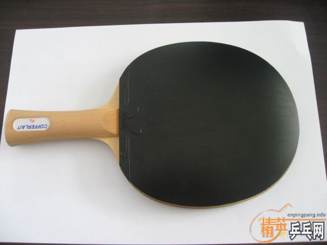 [ԭ��]����������׽���ɫ295Ԫ���ʡ���ɫ245Ԫ���ʣ����485���ʡ�