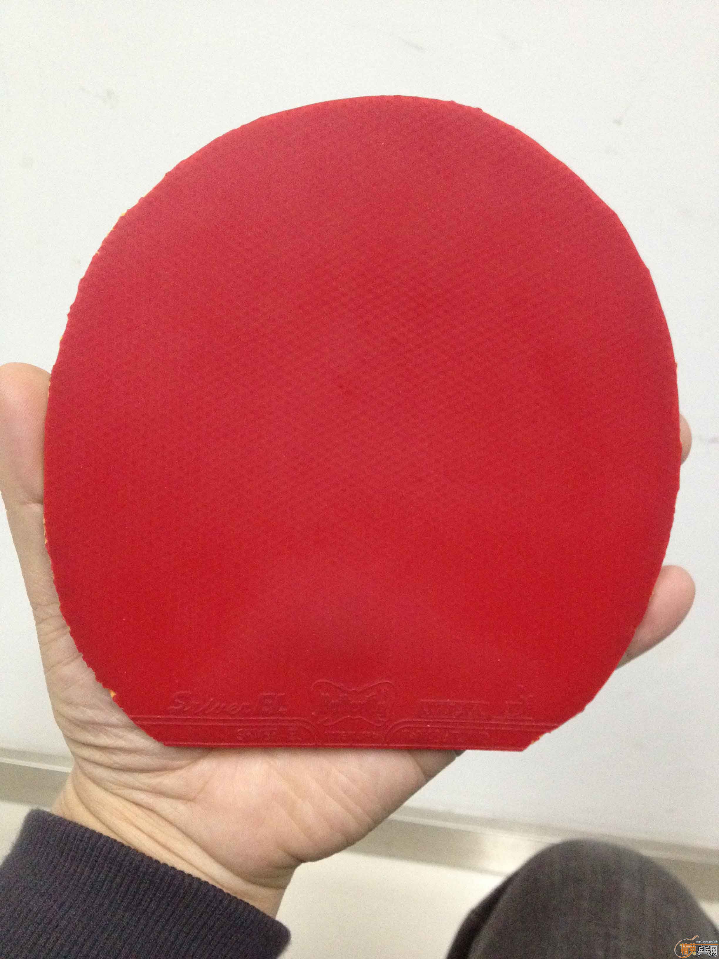 ���˳���ɫEL����ɫ����