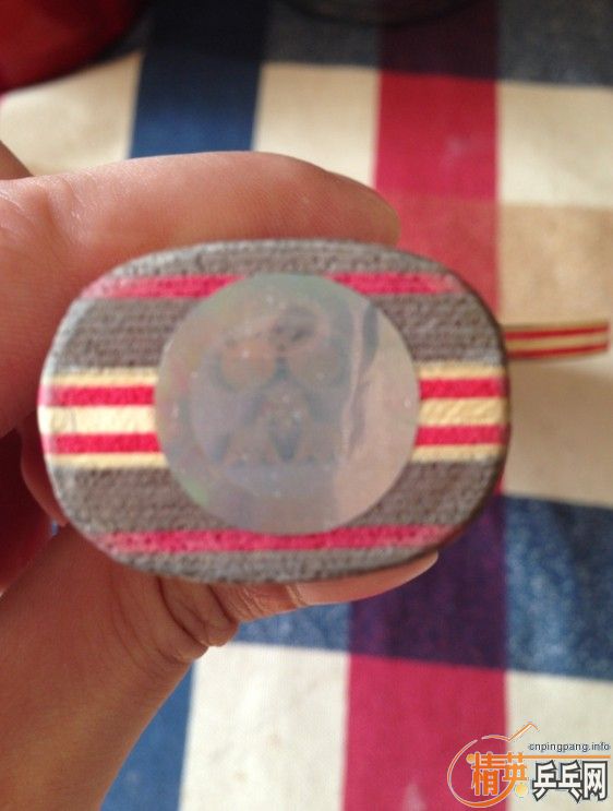 550���ʳ�clcc