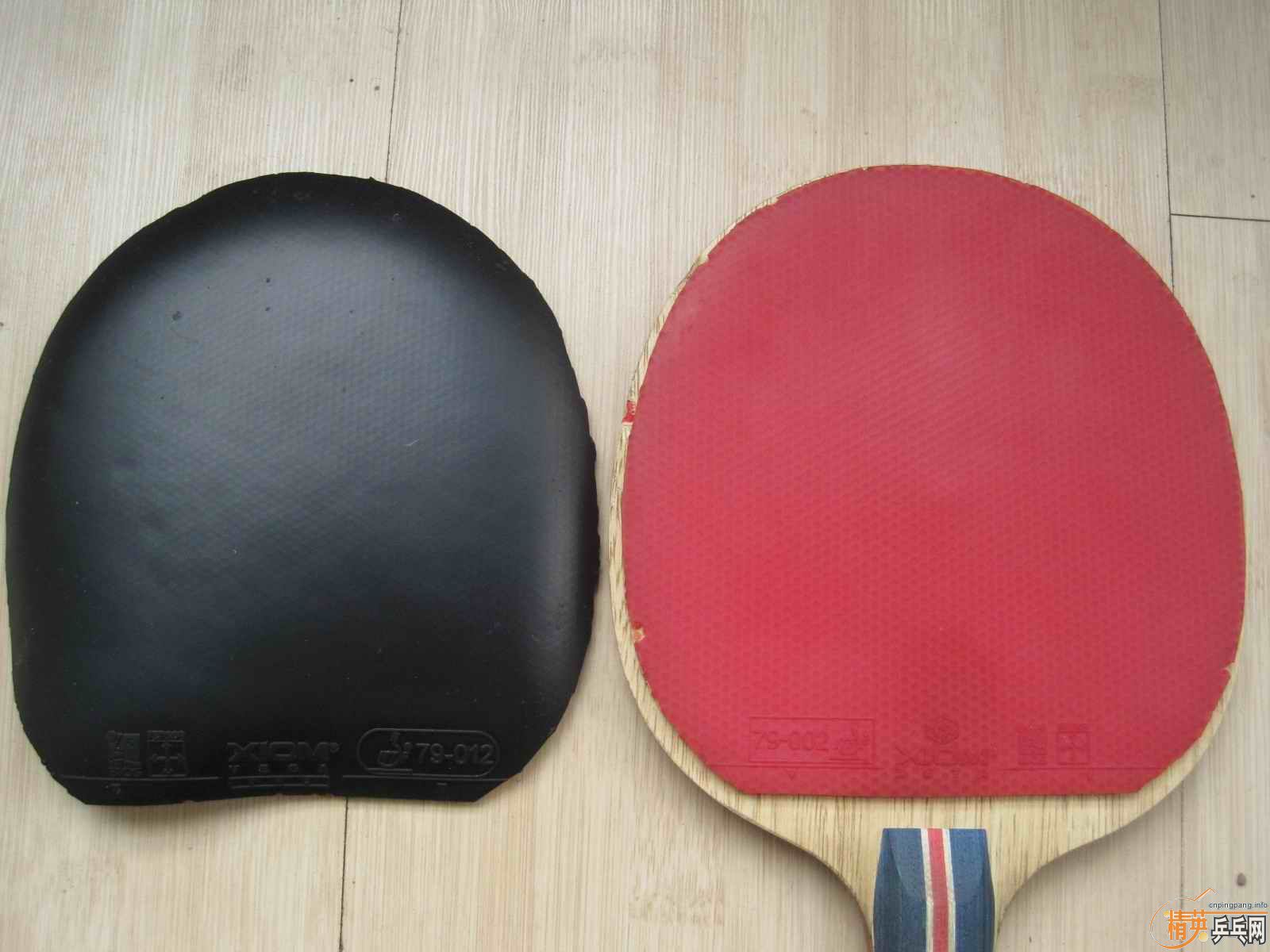 VIVA�����ֽ�����V�����ֽ���ZETA