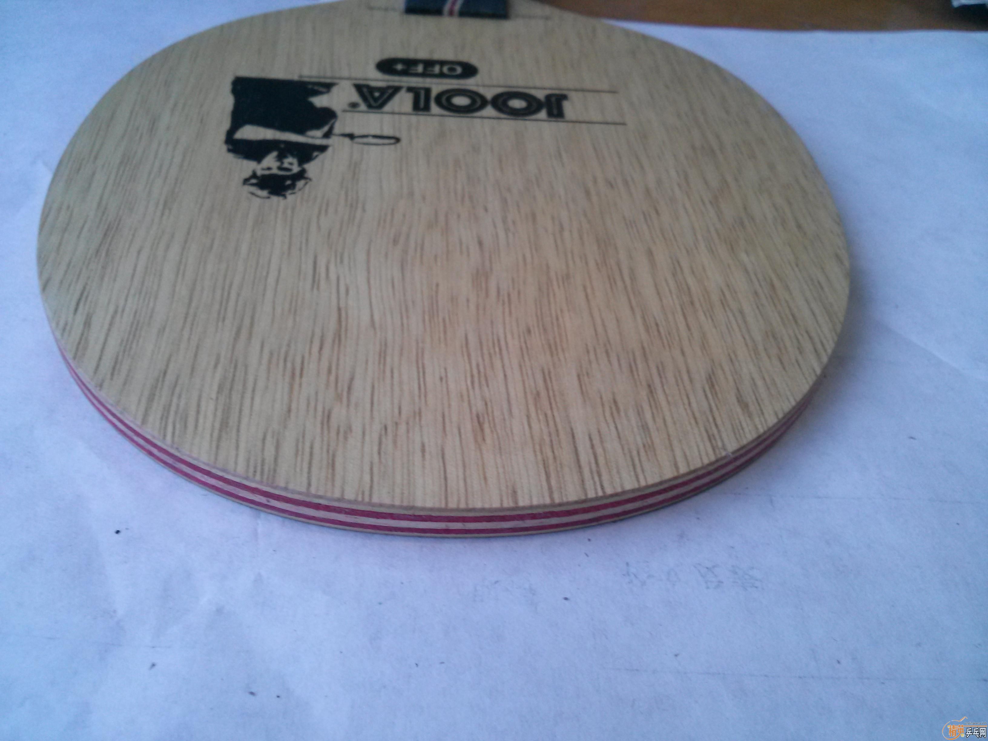 �����߽�VIVA�����̰棩��Ҳ���Ի��壡