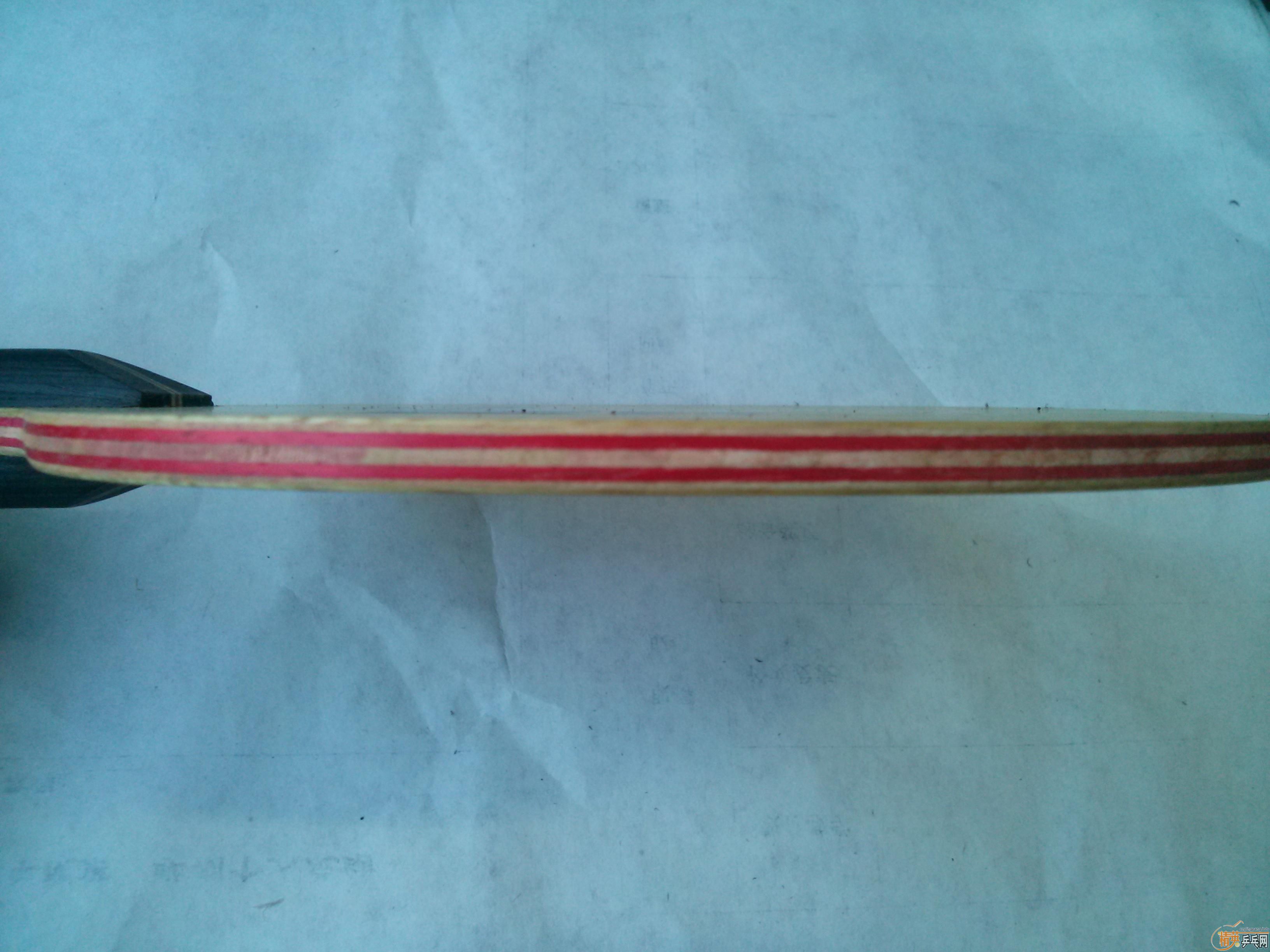 �����߽�VIVA�����̰棩��Ҳ���Ի��壡