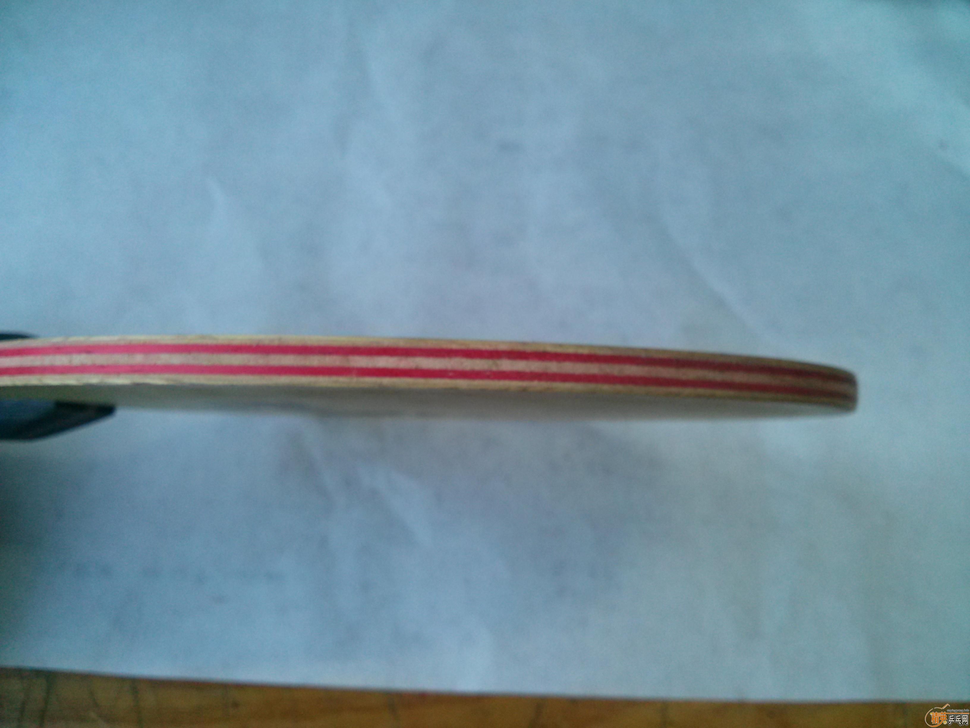 �����߽�VIVA�����̰棩��Ҳ���Ի��壡