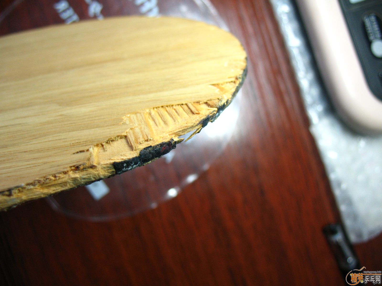 ���д��˺���TAMROPA���ST��