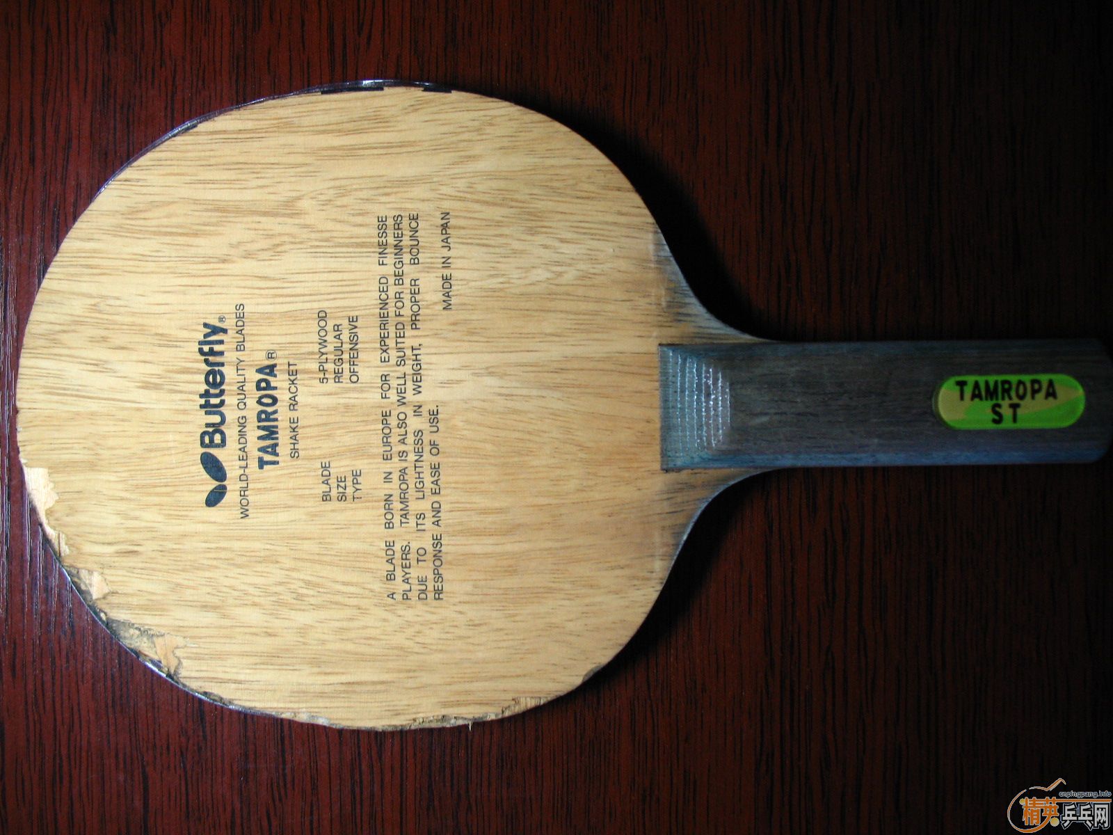 ���д��˺���TAMROPA���ST��