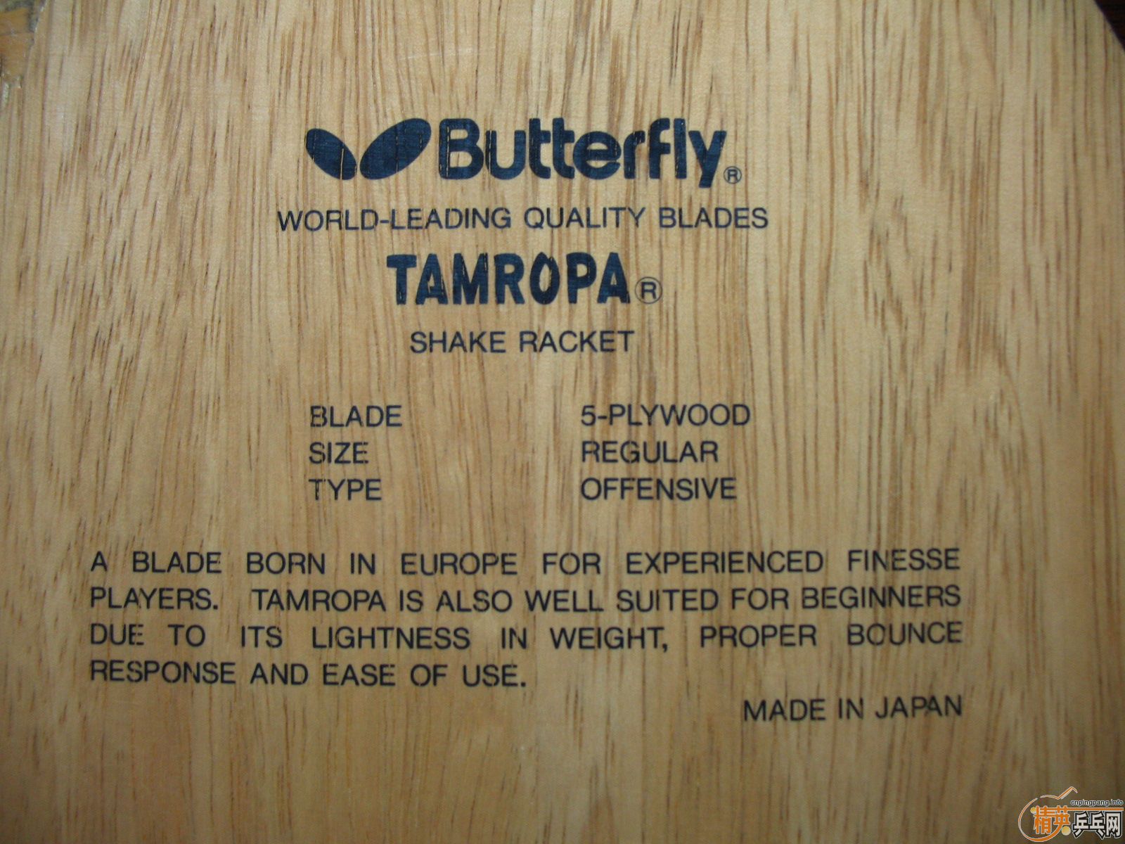 ���д��˺���TAMROPA���ST��