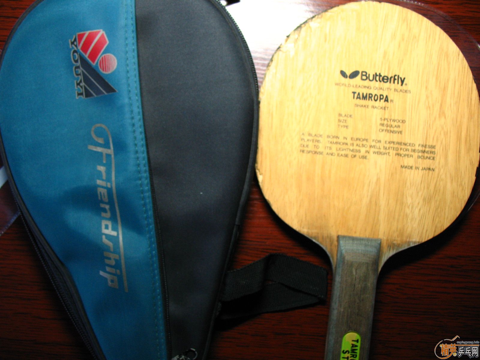 ���д��˺���TAMROPA���ST��