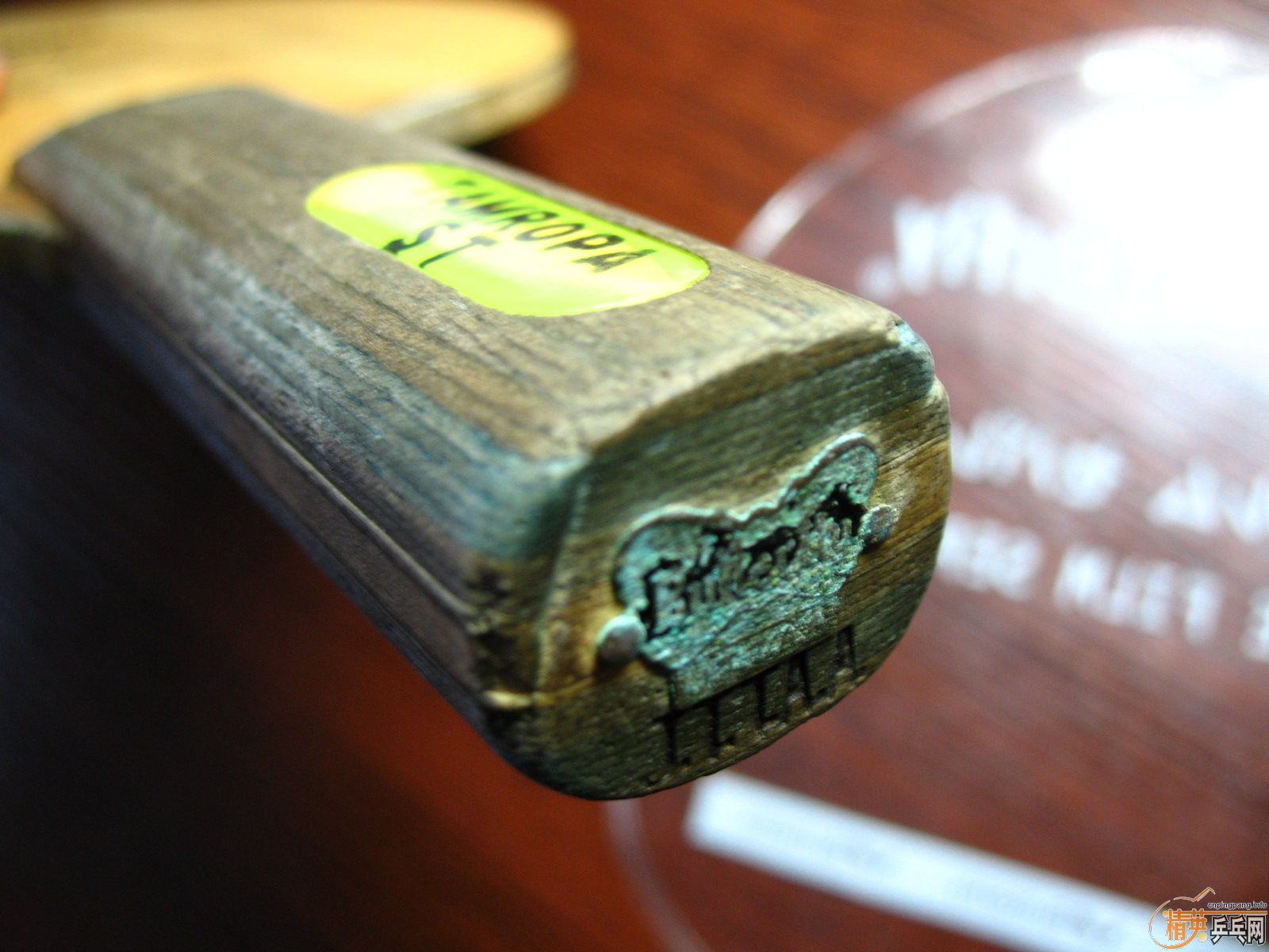 ���д��˺���TAMROPA���ST��