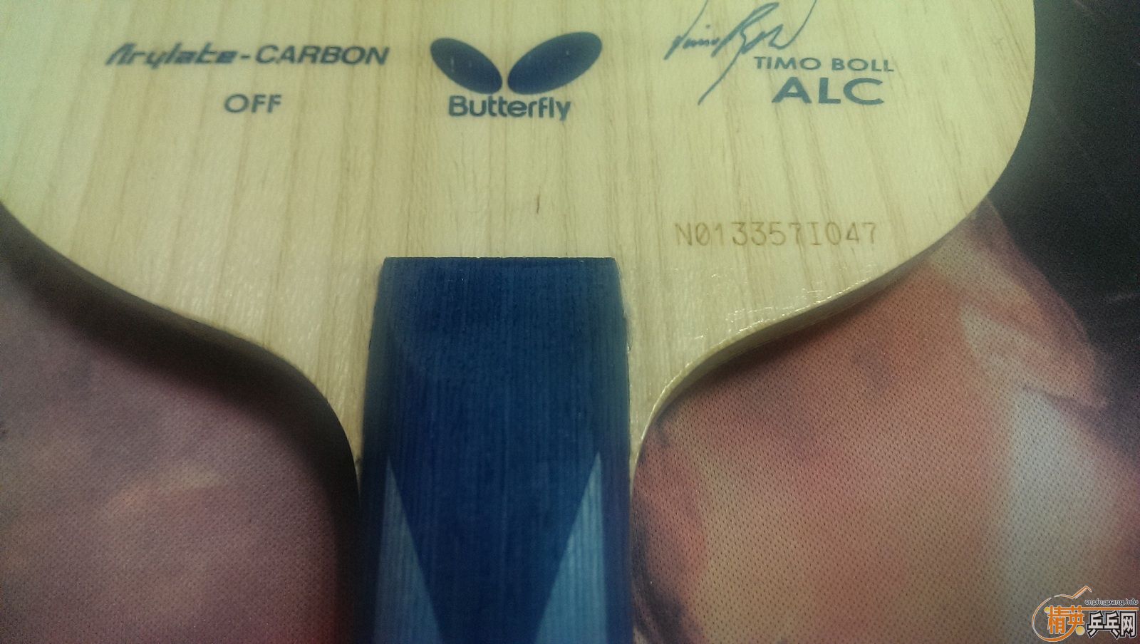 ##########��һֻ���׵��հ�Boll ALC##########