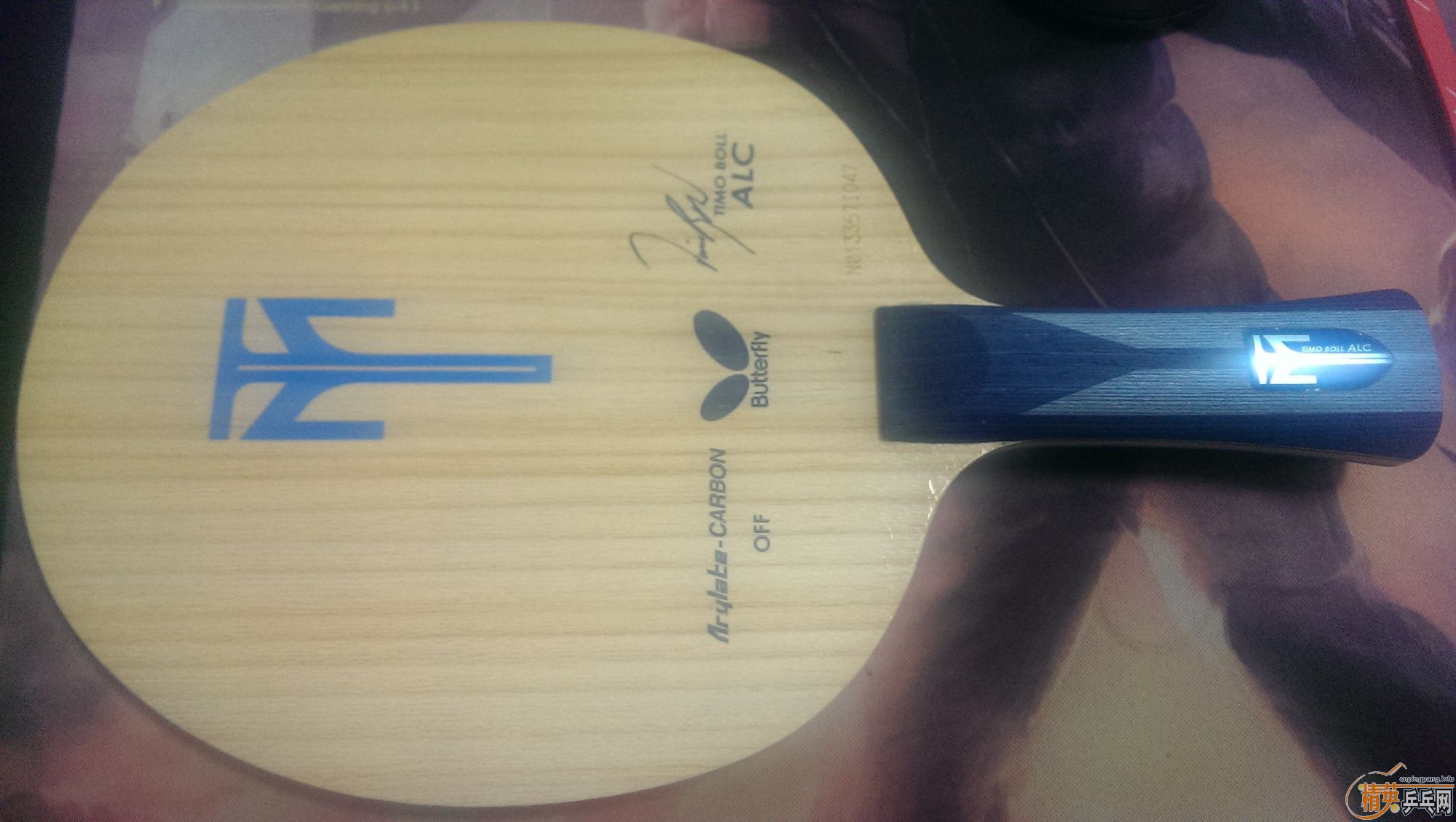 ##########��һֻ���׵��հ�Boll ALC##########