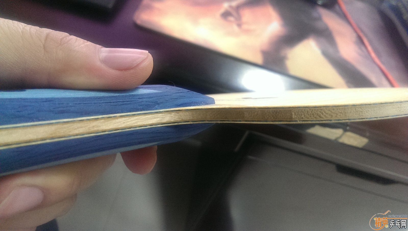 ##########��һֻ���׵��հ�Boll ALC##########